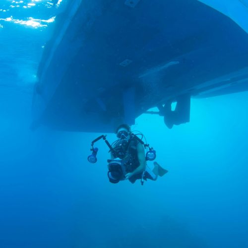 brendon-stewart-IfHrZv9lndQ-unsplash