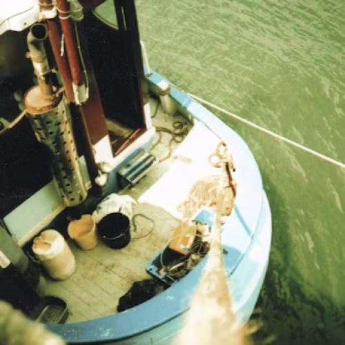 photo-1592337713472-3a80560c0ab6